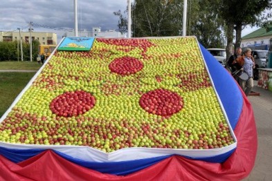 В Короче создали самый большой герб района из яблок В Короче создали самый большой герб района из яблок