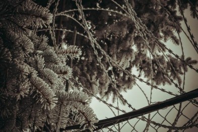 Неисправимый водитель-пьяница получил 9 месяцев колонии Неисправимый водитель-пьяница получил 9 месяцев колонии