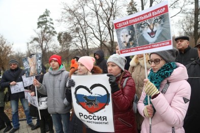 «Я поняла, что не смогу промолчать». В Белгороде прошёл митинг против издевательств над животными «Я поняла, что не смогу промолчать». В Белгороде прошёл митинг против издевательств над животными