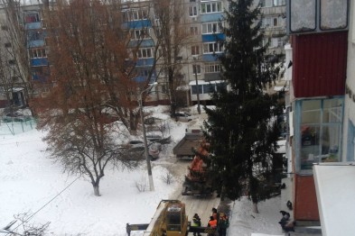 В Белгороде на Привольной спилили 30-летнюю ель: ею украсят Дом офицеров В Белгороде на Привольной спилили 30-летнюю ель: ею украсят Дом офицеров