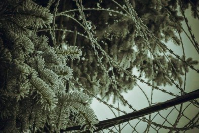Белгородца осудили за попытку доставить арбалетом наркотики в колонию Белгородца осудили за попытку доставить арбалетом наркотики в колонию