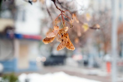 Белгородцев предупреждают об ухудшении погоды и гололёде на дорогах Белгородцев предупреждают об ухудшении погоды и гололёде на дорогах