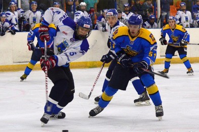 Белгородские хоккеисты проиграли «Брянску»