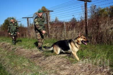 Белгородские пограничники обнаружили на границе с Украиной незаконный трубопровод