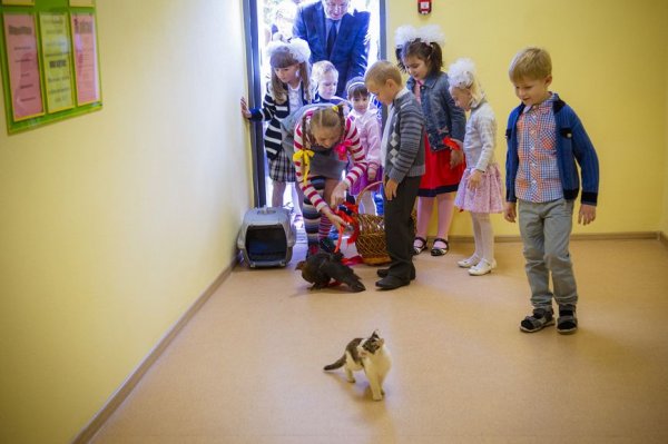 В Белгородском районе открылись четыре новых школы и детский сад
