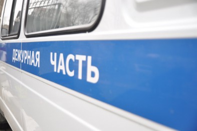 В Белгороде на взрослую женщину и 9-летнюю школьницу упало дерево