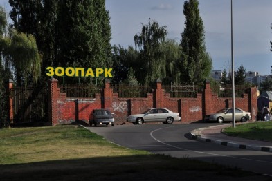 В Синичкин день белгородцы с «птичьими» фамилиями смогут посетить зоопарк бесплатно