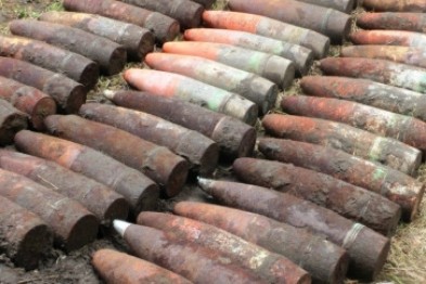 Белгородец нашёл на своём земельном участке 122 боеприпаса времён ВОВ