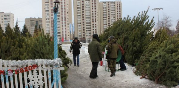 Бегущая неделя. ФСБ против имама, «Белогорье» против «Аркаса» и проректор против блогера в Белгороде