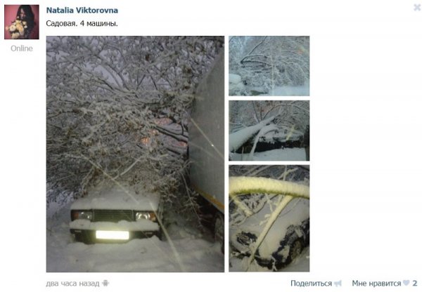 Вместе со снегопадом на Белгород обрушился «деревопад»