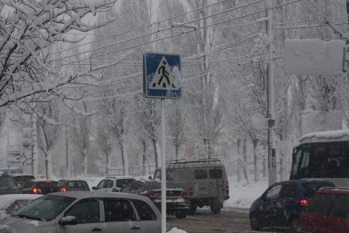 В Белгородской области под колёсами машин пострадали два пешехода