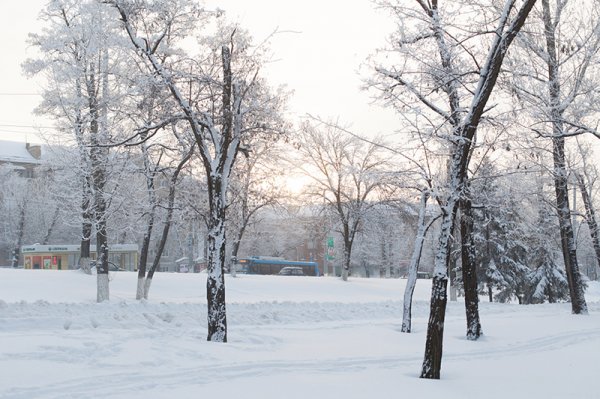 Белые дни. Белгороду осталось совсем недолго оставаться под снегом перед скорым потеплением