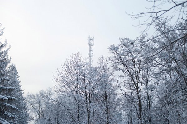 Белые дни. Белгороду осталось совсем недолго оставаться под снегом перед скорым потеплением