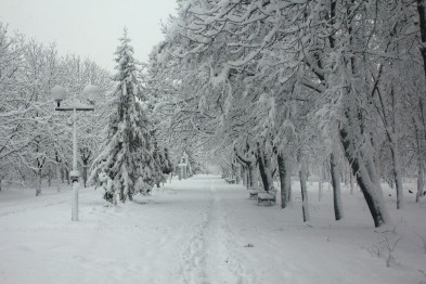 В Белгородскую область на смену снегопадам придут 25-градусные морозы