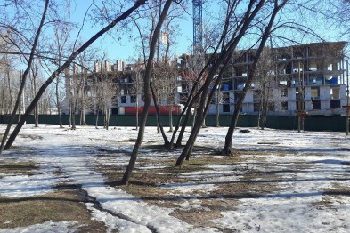 Белгородские чиновники определились с концепцией развития центрального городского парка