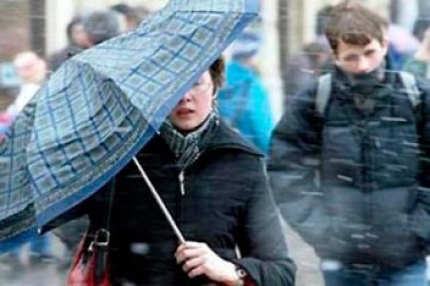 В среду белгородцев ожидает сильный ветер с дождём