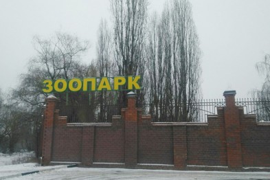 Белгородцы с «птичьими» фамилиями смогут посетить зоопарк бесплатно
