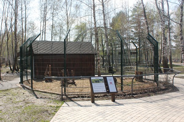 Новый белгородский зоопарк откроется 1 июня
