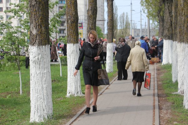 Православные белгородцы отпраздновали Вербное воскресенье