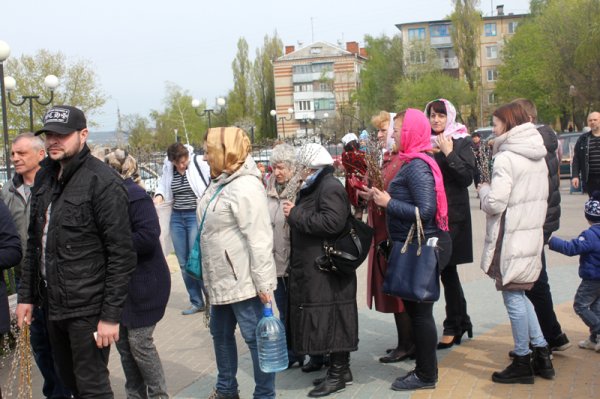 Православные белгородцы отпраздновали Вербное воскресенье