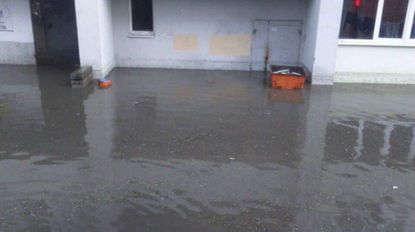 В Белгороде затопило двор многоэтажки: автомобили ушли под воду, обрушилась стена, кот в опасности