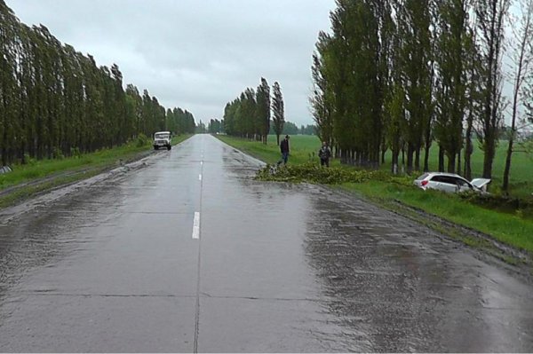 В Белгородской области из-за превышения скорости погиб водитель «девятки»