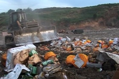 Под Белгородом уничтожившего 25 тонн санкционного сыра из Евросоюза