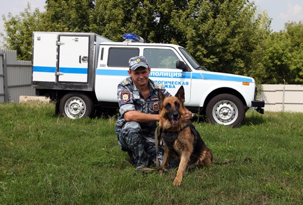 Под Белгородом полицейская собака предотвратила самоубийство
