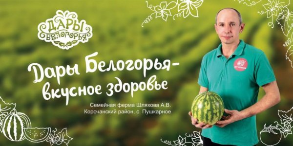На белгородских дорогах появилась «фермерская» социальная реклама