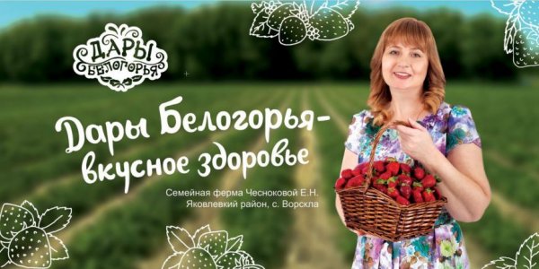 На белгородских дорогах появилась «фермерская» социальная реклама