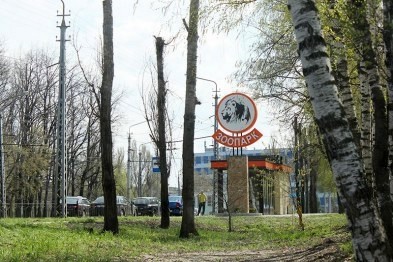 В Белгородский зоопарк переедет тигрёнок из Ижевска