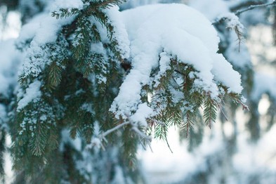 На выходных в Белгороде выпадет первый снег