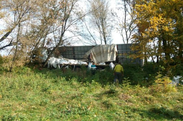 В Белгородской области за сутки в ДТП погибли четыре человека