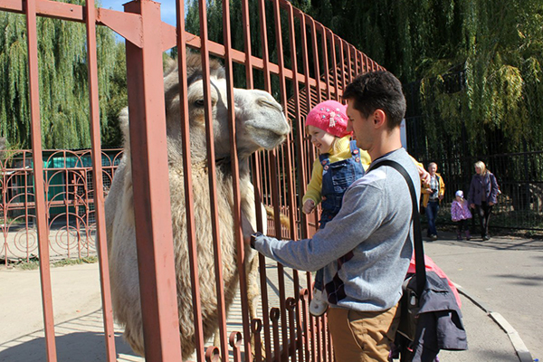 В Белгородский зоопарк привезли верблюжонка