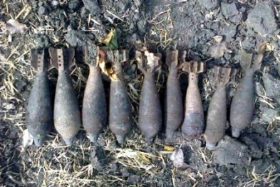 В лесу под Белгородом грибник нашёл снаряды времён войны