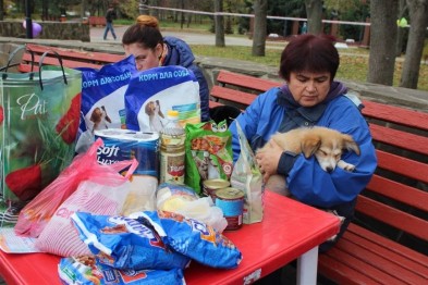 Белгородские зоозащитники устроили интернет-аукцион «Хитрый нос»