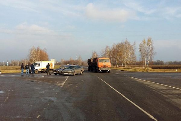 В Белгородской области два пешехода погибли под колёсами авто