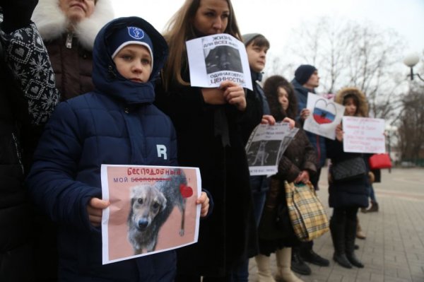 «Я поняла, что не могу промолчать». В Белгороде прошёл митинг против издевательств над животными