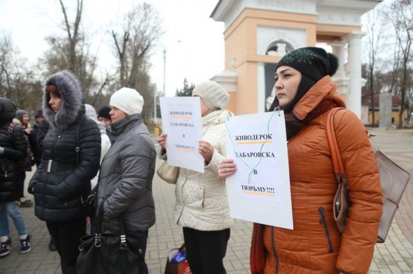 «Я поняла, что не могу промолчать». В Белгороде прошёл митинг против издевательств над животными