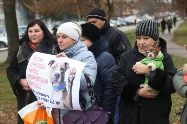 «Я поняла, что не могу промолчать». В Белгороде прошёл митинг против издевательств над животными