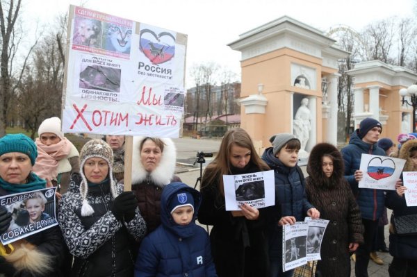 «Я поняла, что не смогу промолчать». В Белгороде прошёл митинг против издевательств над животными