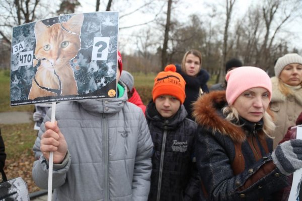 «Я поняла, что не смогу промолчать». В Белгороде прошёл митинг против издевательств над животными