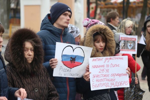 «Я поняла, что не смогу промолчать». В Белгороде прошёл митинг против издевательств над животными