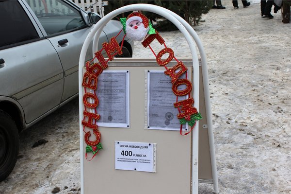 В Белгороде открылись ёлочные базары