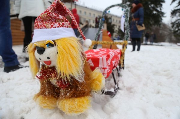 В Белгороде прошёл парад детских санок. Фоторепортаж