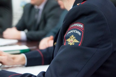 Курские полицейские задержали воровавшего в их регионе белгородца
