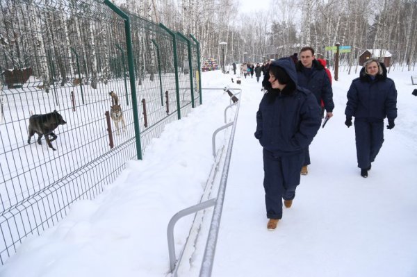 В белгородском зоопарке провели вакцинацию от птичьего гриппа. Фото
