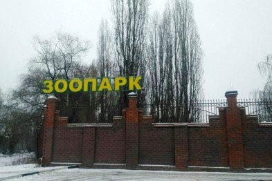 В Белгороде на месте старого зоопарка построят детский город мастеров