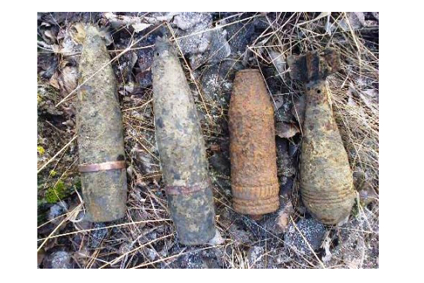Белгородец нашёл в лесу снаряды времён войны