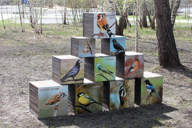 Белгородский зоопарк приглашает на День птиц